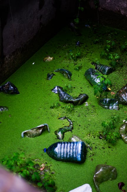 Scandal ecologic în Valea Nimăiești: apă fierbinte și niveluri alarmante de amoniu