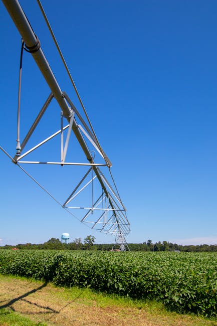 Investiții în irigații: cum să îți asiguri profitabilitatea în agricultură