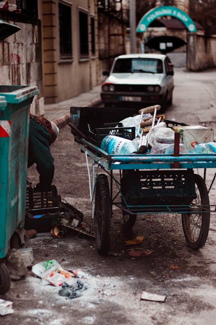 Gunoaie abandonate pe drumurile din Timiș: soluții pentru o problemă persistentă