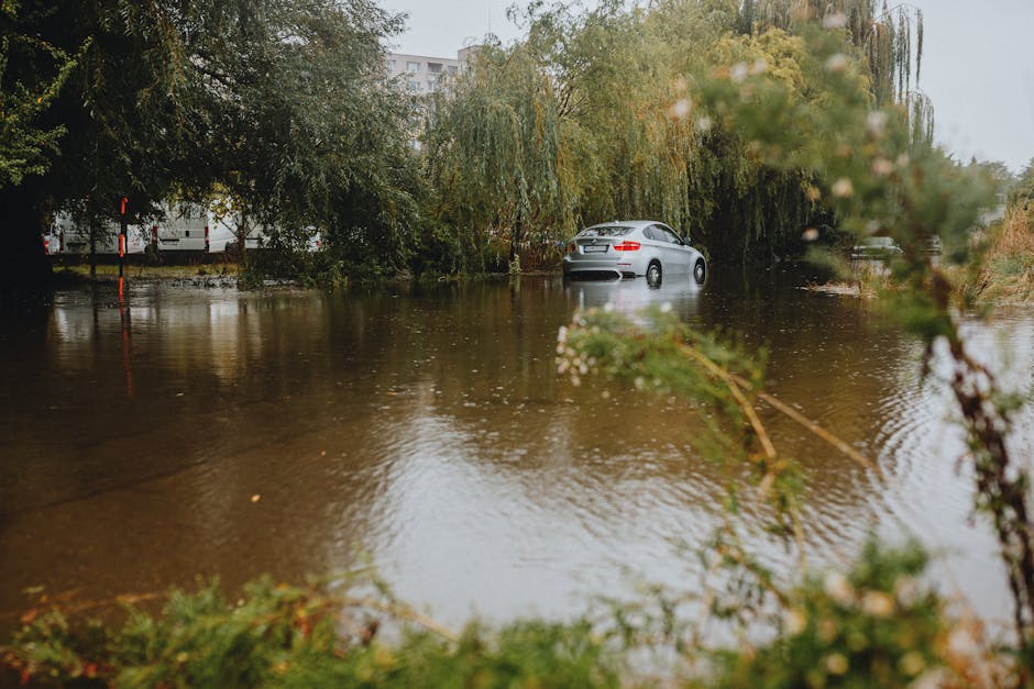 Furtunile devastatoare din România: pagubele cauzate după caniculă