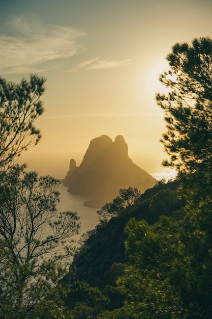 Descoperire surprinzătoare: crocodil în Marea Mediterană!