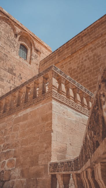 Descoperiri arheologice fascinante la Bastion: groapa comună de la Igriș