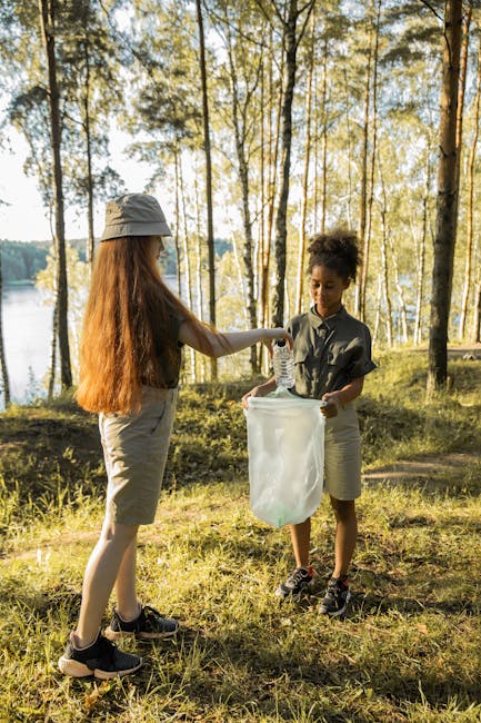 Elevii învață despre ecologie în inima naturii