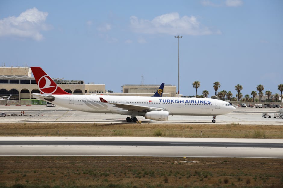 Conflicte violente pe zborul Tel Aviv – Otopeni: intervenția poliției la aterizare