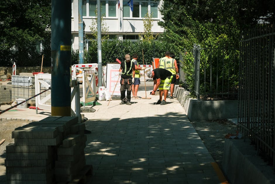 Investiție majoră în Dragomirești: infrastructura DJ 702D se modernizează