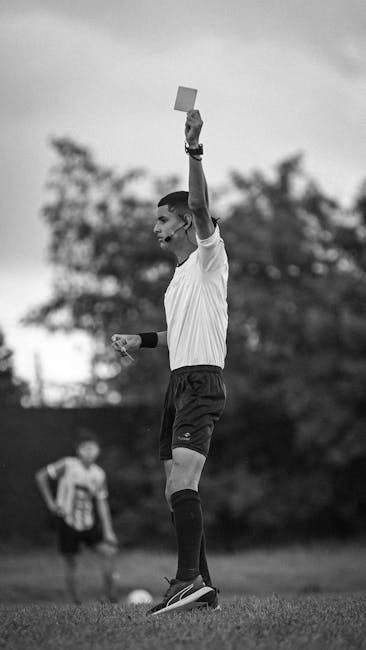 Arbitraj românesc în Liga Națiunilor: detalii despre meciul Slovenia – Scoția