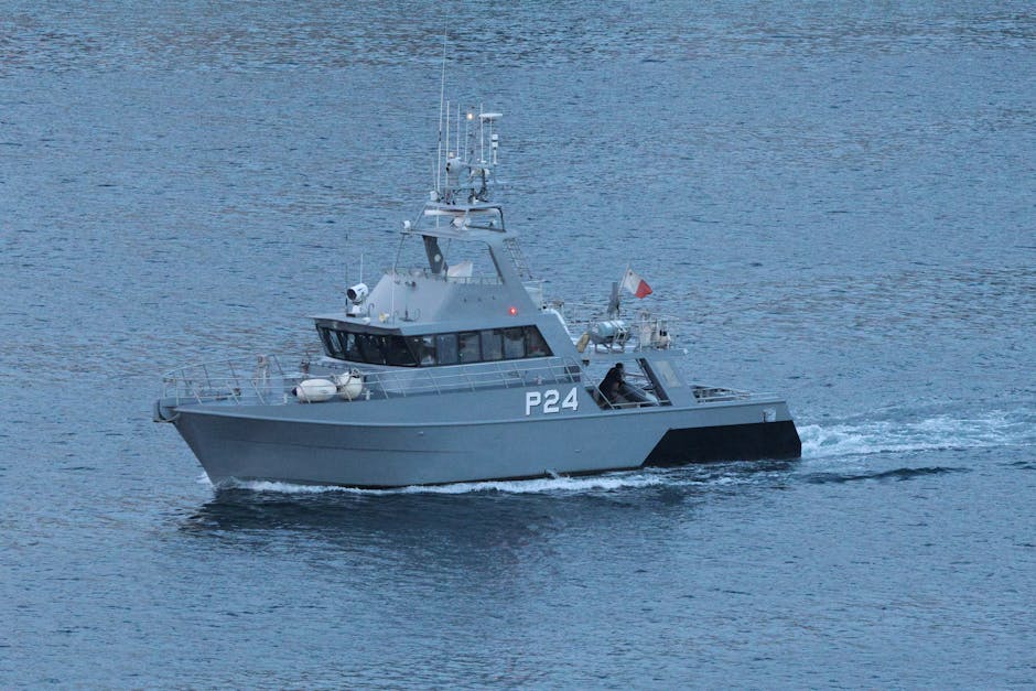 Exercițiul DANUBE PROTECTOR 26: peste 350 de militari în misiune pe Dunăre