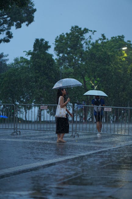 Vreme schimbătoare în Călărași: ce ne rezervă prognoza meteo pentru următoarele două săptămâni