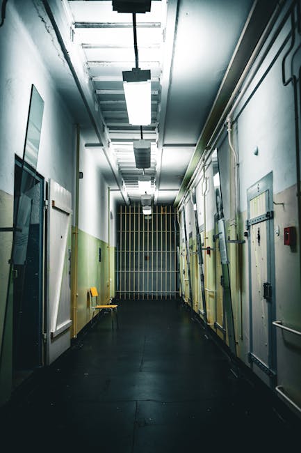 Un bărbat din Germania își transformă duba în mașină de poliție și ajunge în custodia autorităților