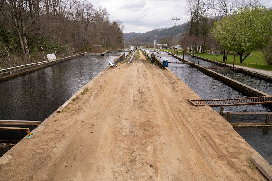Investiție de 2 milioane de euro în canalizare, aproape finalizată în Borșa