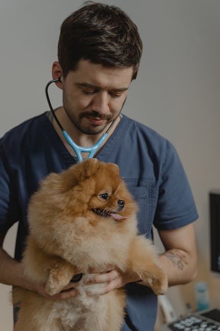 Cum un medic pediatru din Cluj a descoperit puterea terapeutică a animalelor de companie