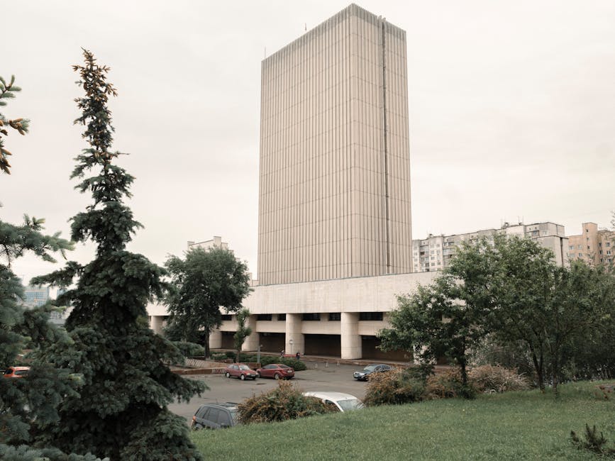 Reabilitarea Parcului Primăriei din Sebeș: Ce trebuie să știți