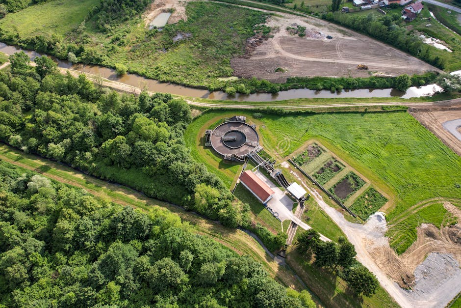 Fermierii din Arad primesc mii de tone de nămol pentru fertilizarea terenurilor