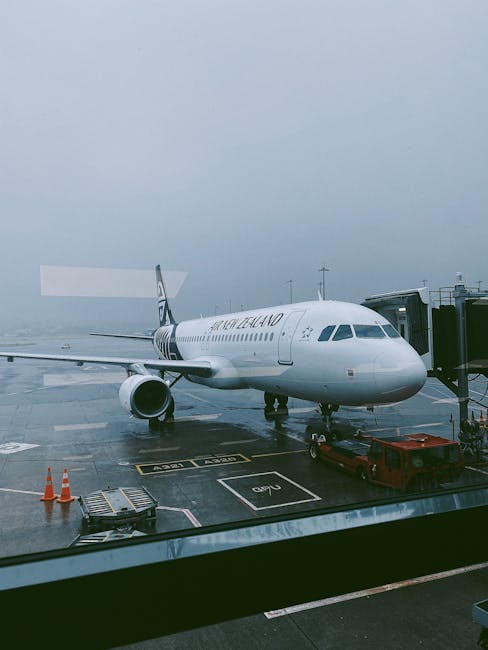 Controversă în aviație: Fondatorul Fly Lili, Jurgen Faff, sub control judiciar pentru evaziune fiscală