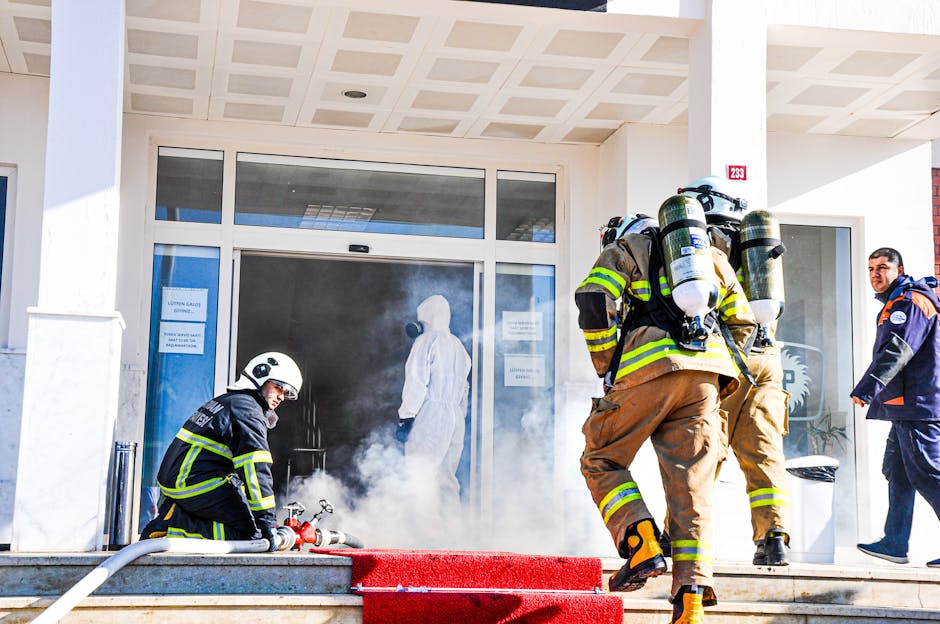 Incendiu puternic la ieșirea din Constanța: pompierii intervin rapid