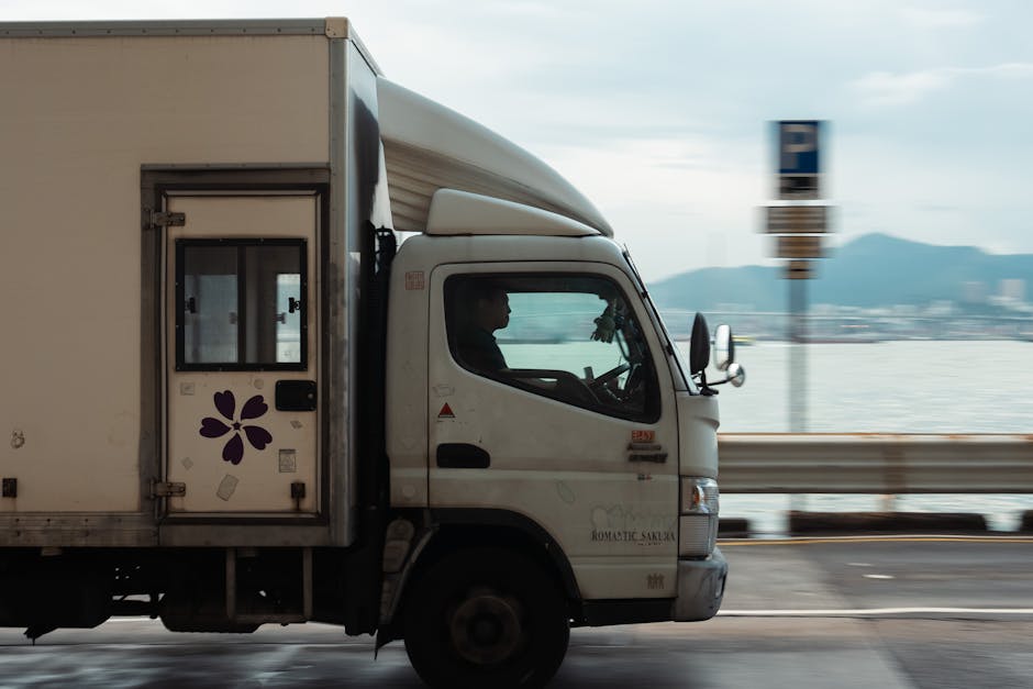 Șoferii cu permis B care transportă marfă vor avea nevoie de certificat profesional în curând