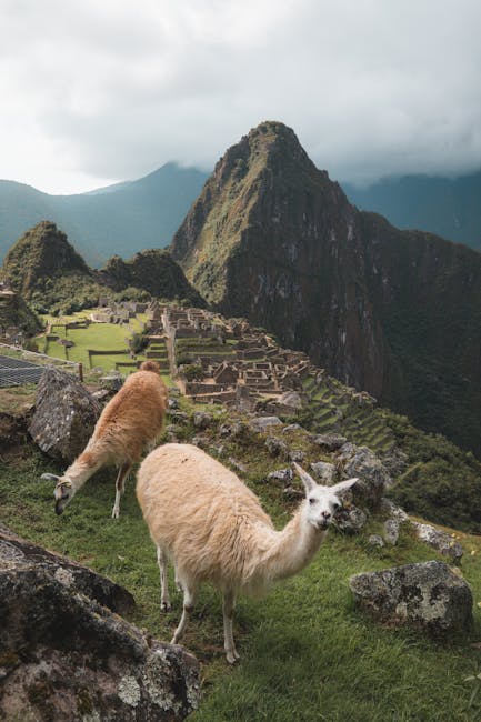Machu Picchu: 1.400 de turiști evacuați din cauza protestelor locale