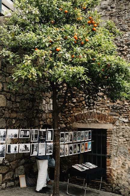 Descoperă expoziția de fotografie care îți va schimba perspectiva asupra naturii