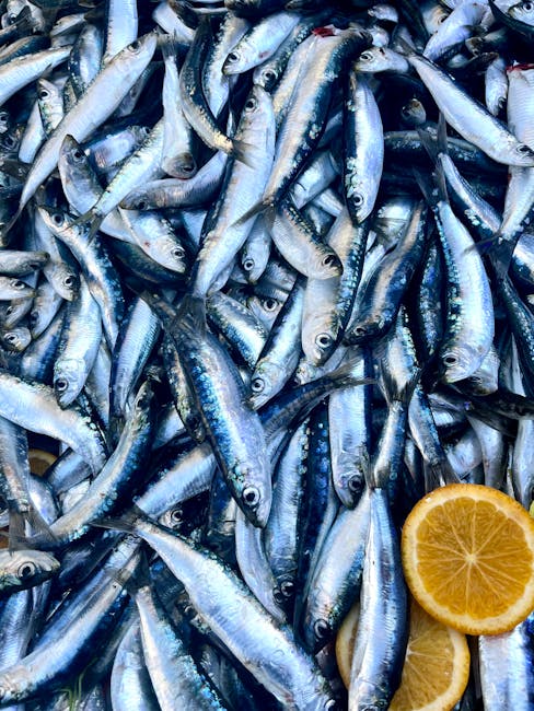 Mircea Toderaș aduce magia pizzei la Black Sea Fish Festival 2025