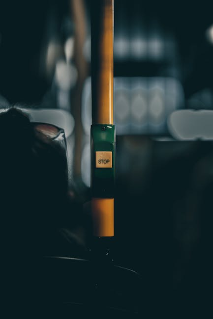 Șoferiță amendată pentru transportul unui ponei în portbagajul mașinii