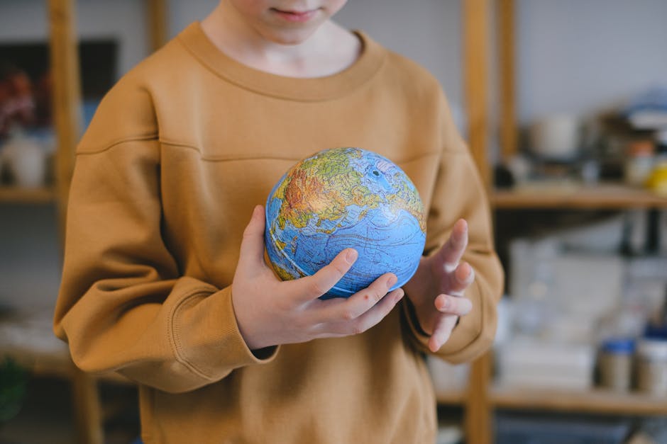 Un nou program educațional promite o rată de promovabilitate de 74% pentru elevi