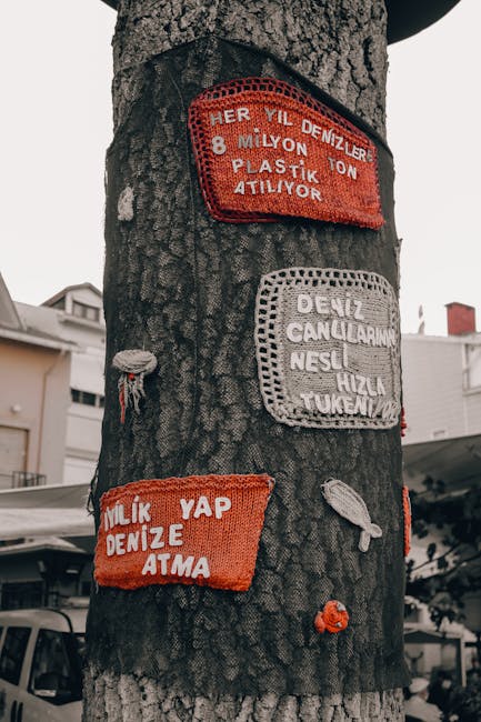 Brașovul devine un spațiu pietonal captivant pentru festivalul Street Delivery
