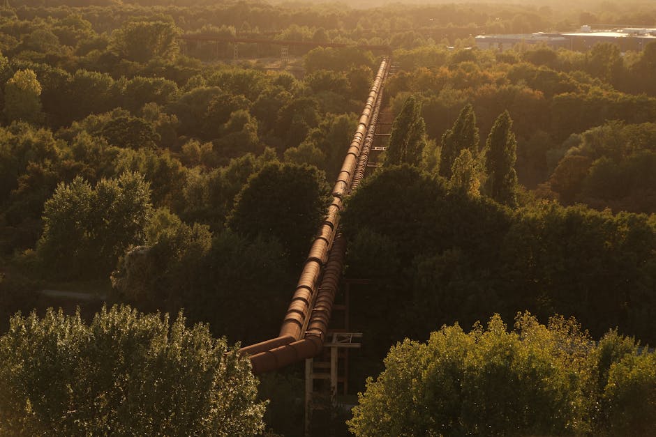 Guvernul României pregătește exproprieri și proiecte de infrastructură de amploare