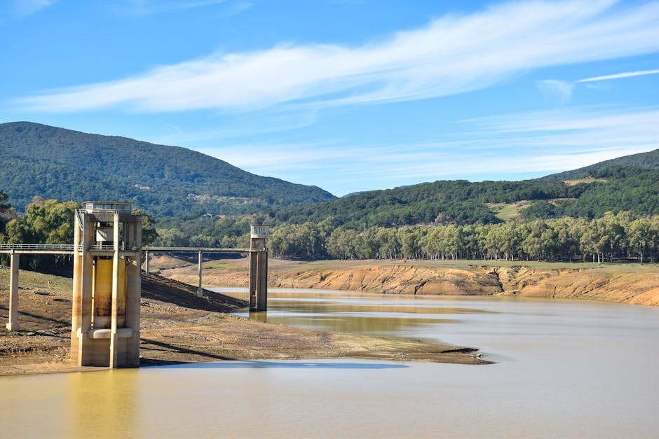 Lacul Vârșolț seacă alarmant: cauzele și efectele fenomenului