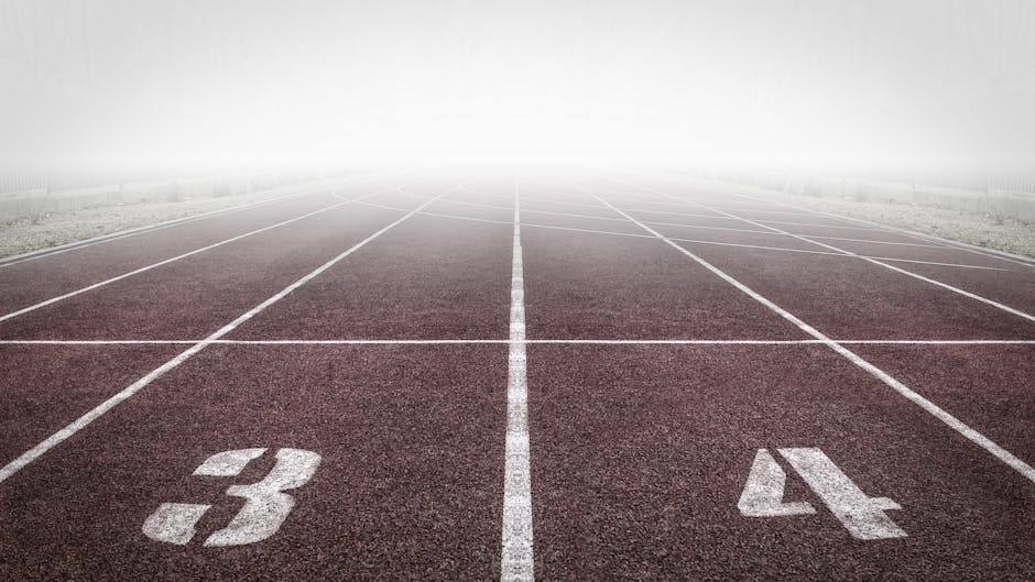 Deveniti parte din povestea alPHa Prahova: clubul sportiv caută un sponsor principal