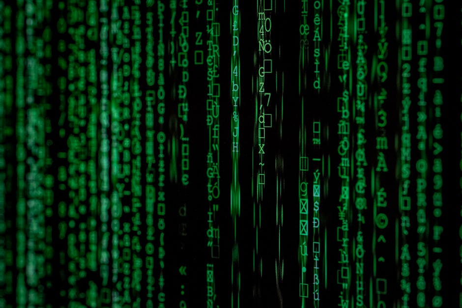 De ce România se află la coada Europei în competențele digitale și cum putem schimba acest lucru