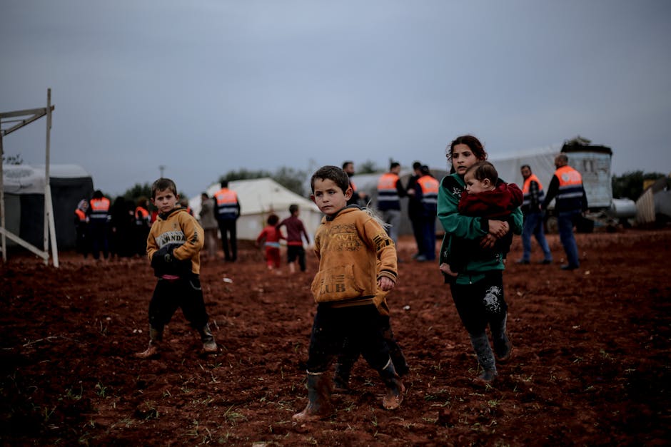 ONU avertizează: peste 1.200 de palestinieni uciși în Gaza după armistițiul din 2025