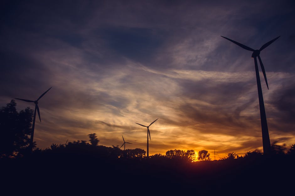 Premier Energy își extinde prezența în Ungaria prin achiziția unui parc eolian de 158 MW