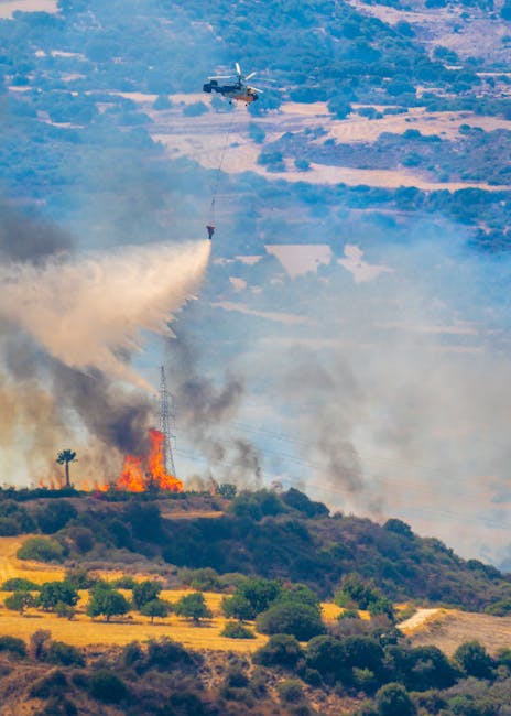 Incendii devastatoare în Caraș-Severin: pompierii luptă pentru a stăvili flăcările