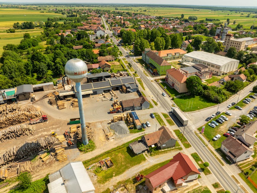 CSM Slatina înregistrează o creștere impresionantă a achizițiilor directe