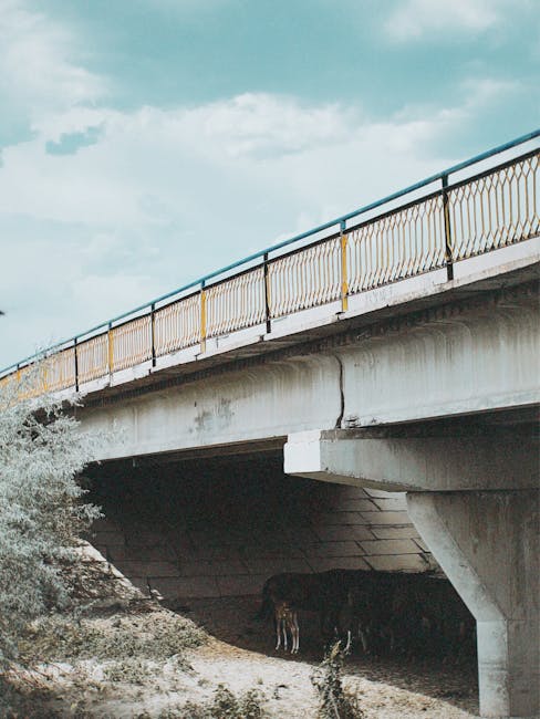 Bănișor își prioritizează infrastructura: fonduri pentru străzi și poduri în loc de festivaluri