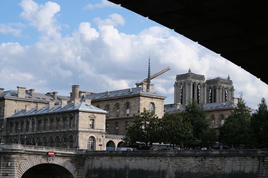 Catedrala Notre-Dame din Paris își redeschide turlele după șase ani de lucrări intense
