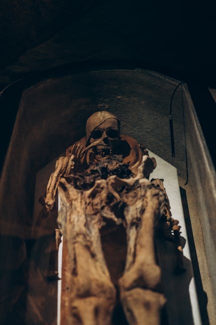 Descoperire arheologică remarcabilă în Constanța: un sarcofag de copil din perioada romană