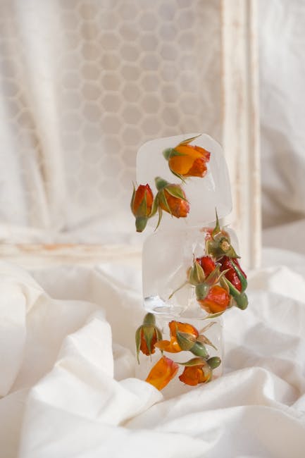 Vernisaj captivant la Antigalerie Cactus: descoperă universul florilor delicate