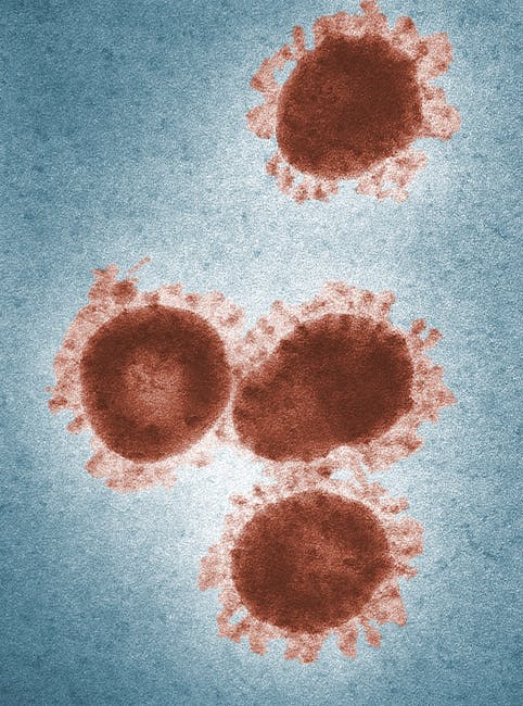 Creșterea alarmantă a cazurilor de Ebola în Congo: autoritățile investighează mutații ale virusului