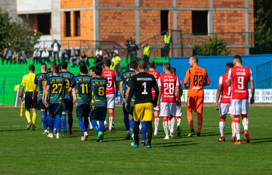 FC Bacău primește majoritatea bugetului pentru sport, lăsând alte cluburi fără fonduri
