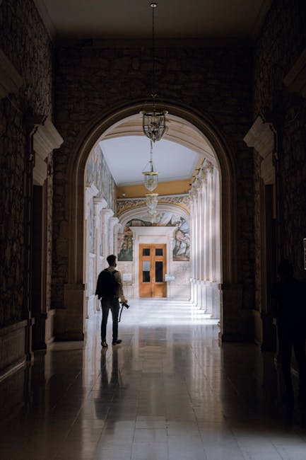 România primește 5,7 milioane de euro pentru patrimoniul furat din Olanda