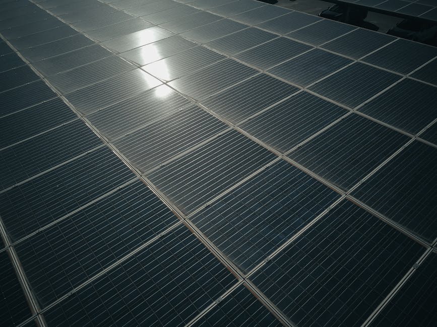 Nutripui SRL finalizează un proiect de energie verde cu fonduri europene