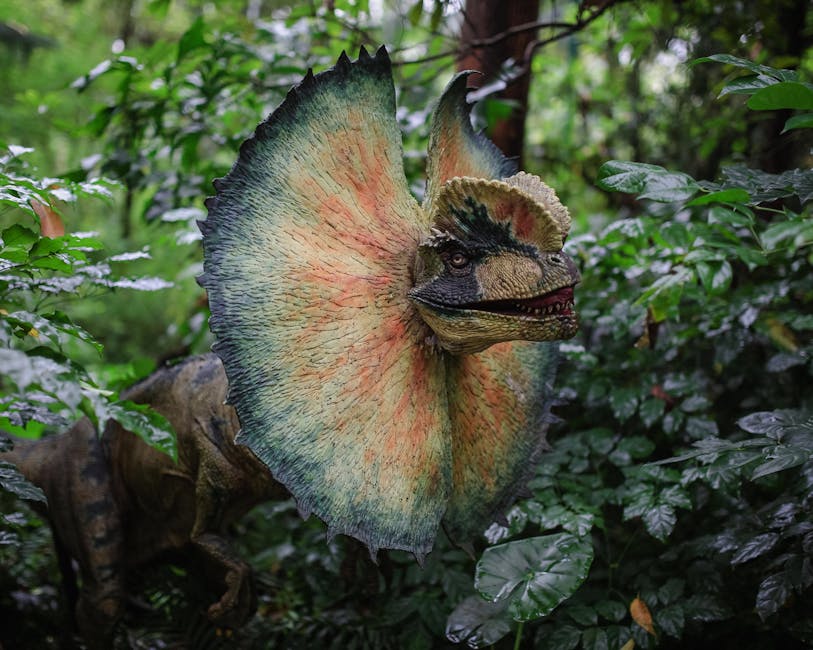 Descoperă magia fluturilor exotici la Grădina Botanică din Cluj-Napoca!