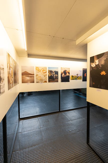 Timișoara deschide un nou spațiu de artă dedicat tinerilor creatori