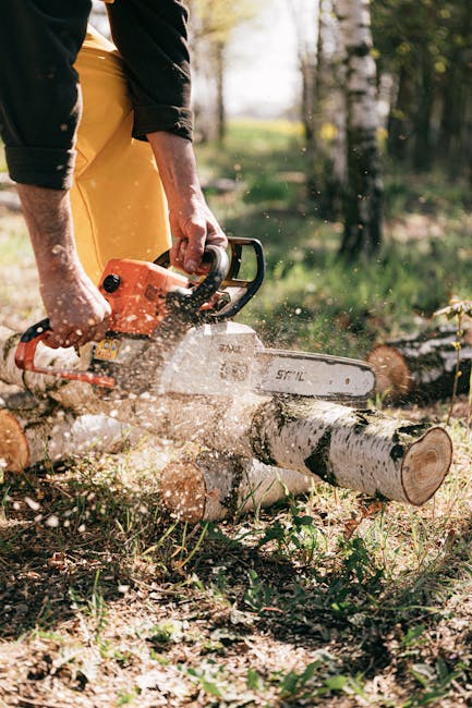 Super reduceri la drujbe și accesorii Husqvarna în Sibiu