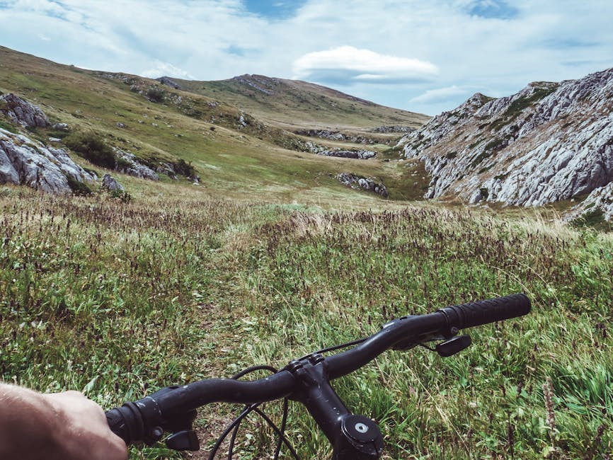 Aventură pe două roți: competiția de mountain bike din comuna Șamșud