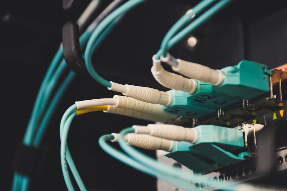 UMFST Târgu Mureș lansează cursuri Cisco Networking Academy pentru viitorii specialiști în rețele