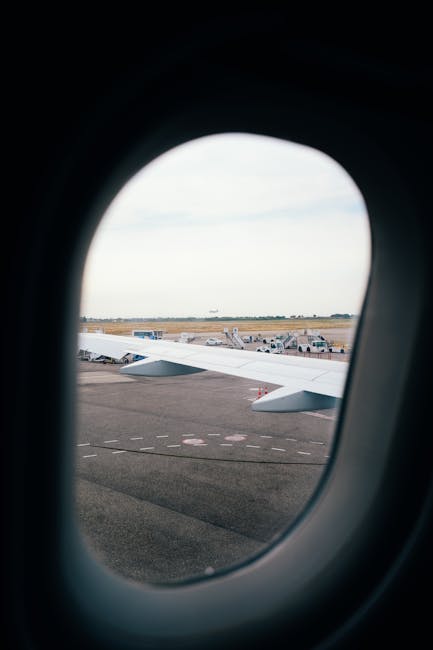 Decizie șocantă: o companie aeriană va plăti milioane după un incident cu un pasager