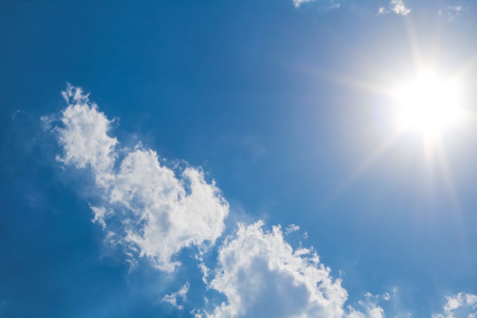Temperaturi record în Bihor: canicula se instalează la începutul lui august