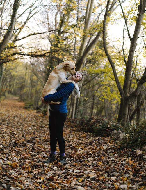 Cum ne îmbunătățesc animalele de companie sănătatea și bunăstarea